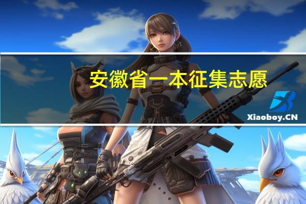 安徽省一本征集志愿
