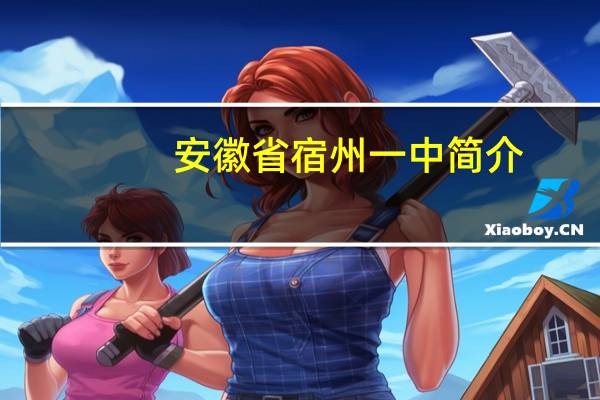 安徽省宿州一中简介