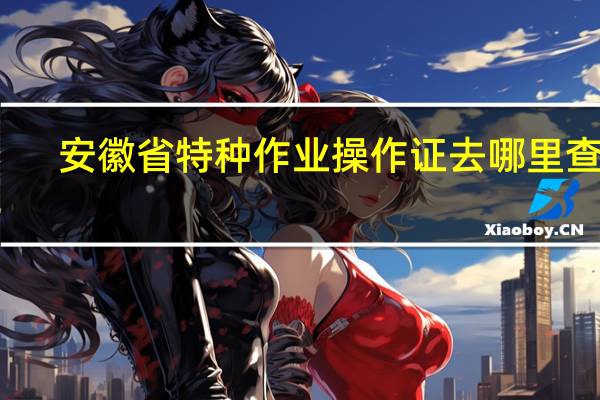 安徽省特种作业操作证去哪里查询