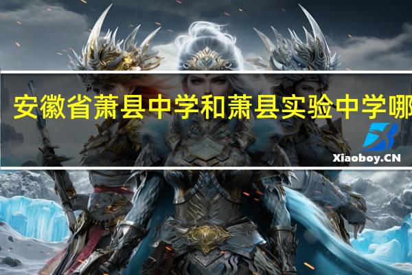 安徽省萧县中学和萧县实验中学哪个好，急急急10