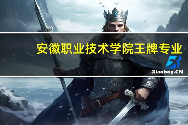 安徽职业技术学院王牌专业