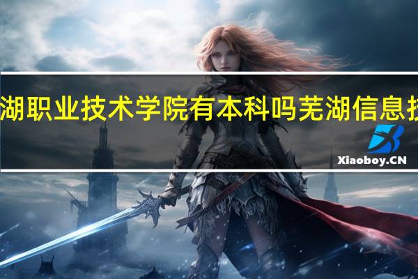 安徽芜湖职业技术学院有本科吗 芜湖信息技术职业学院
