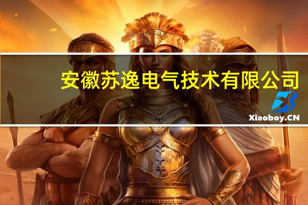安徽苏逸电气技术有限公司(关于安徽苏逸电气技术有限公司简述)
