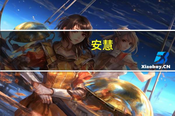 安慧(关于安慧简述)
