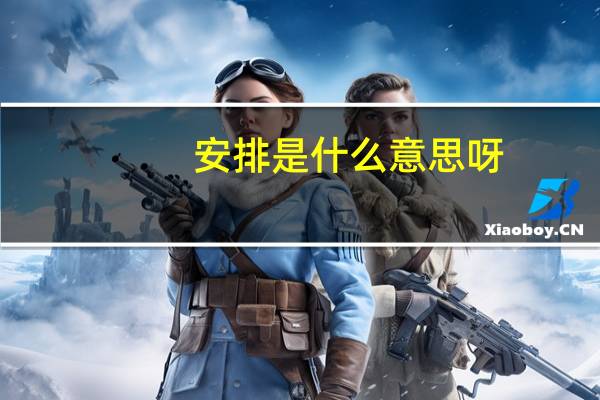 安排是什么意思呀(安排是什么意思)