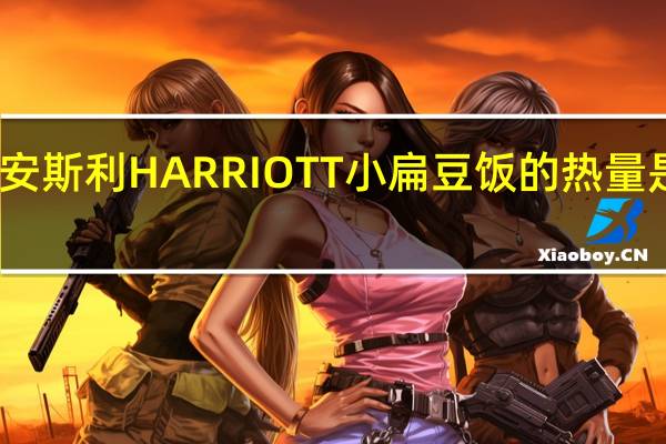 安斯利 HARRIOTT小扁豆饭的热量是多少