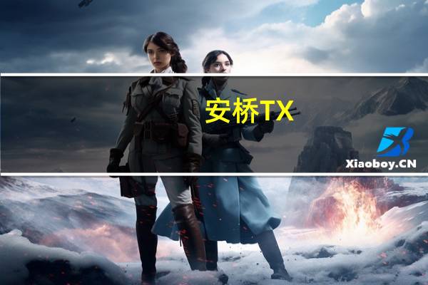 安桥TX-NR838(关于安桥TX-NR838简述)