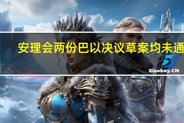 安理会两份巴以决议草案均未通过