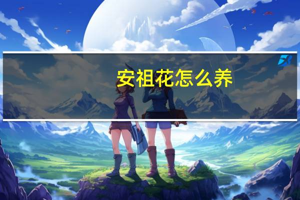 安祖花怎么养