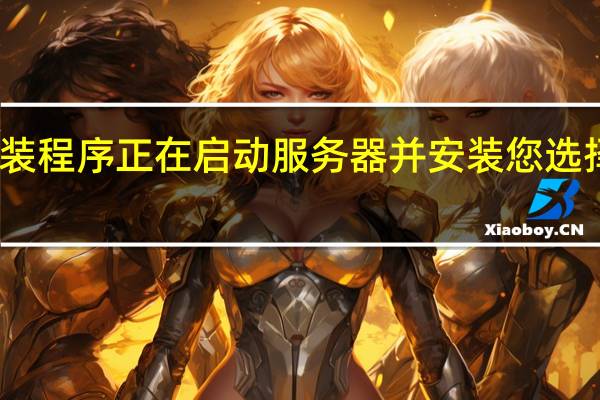 安装程序正在启动服务器并安装您选择的配置