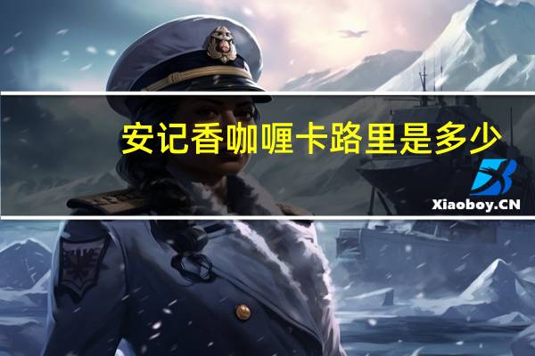 安记 香咖喱卡路里是多少