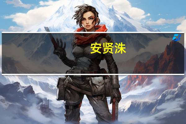 安贤洙（关于安贤洙的介绍）