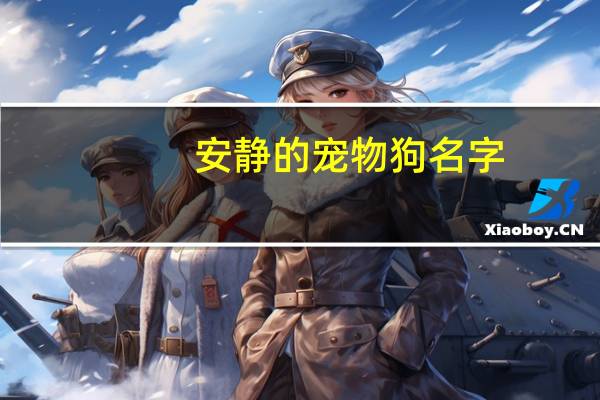 安静的宠物狗名字