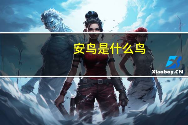 安鸟是什么鸟（安氏蜂鸟雄鸟）