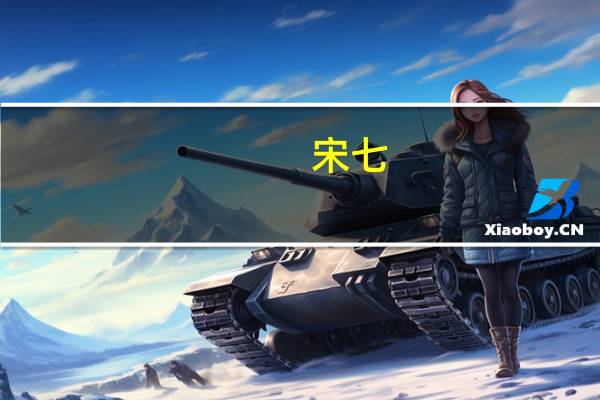 宋七(关于宋七简述)