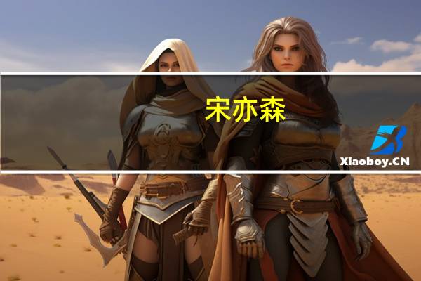 宋亦森(关于宋亦森简述)