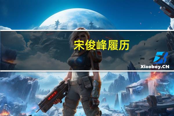 宋俊峰履历