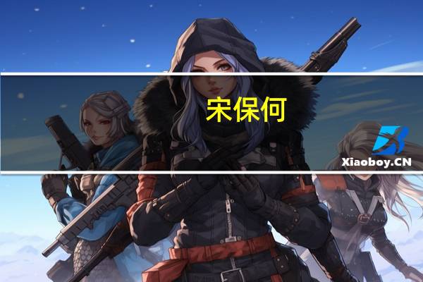 宋保何(关于宋保何简述)