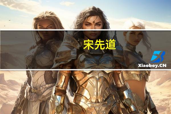 宋先道(关于宋先道简述)