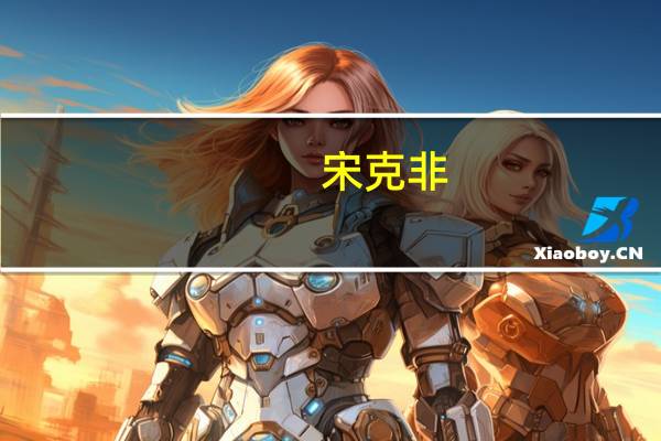 宋克非(关于宋克非简述)