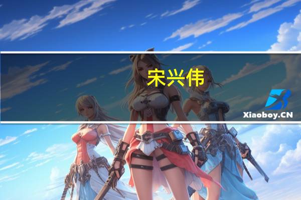 宋兴伟(关于宋兴伟简述)