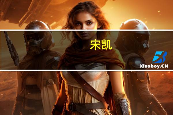 宋凯(关于宋凯简述)