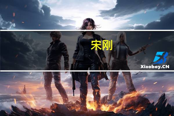 宋刚(关于宋刚简述)