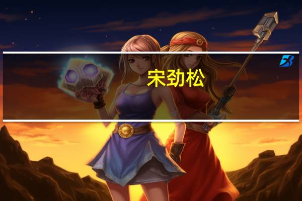 宋劲松(关于宋劲松简述)