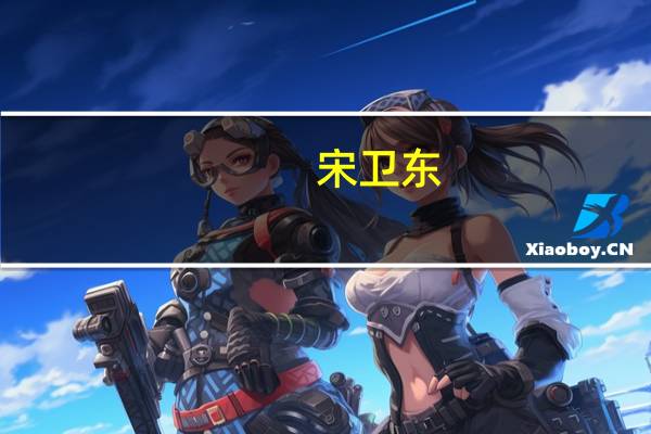 宋卫东(关于宋卫东简述)