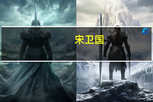 宋卫国(关于宋卫国简述)
