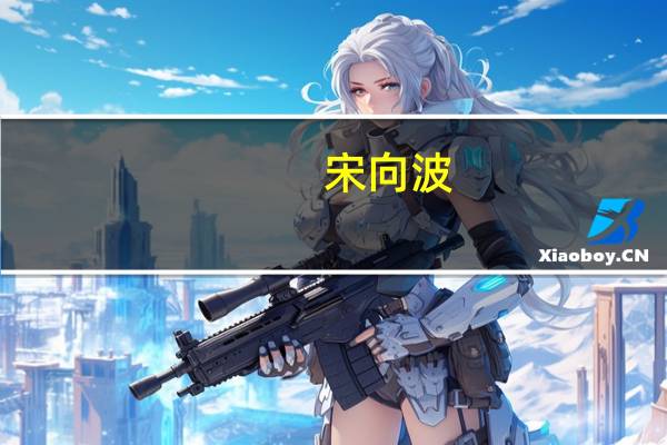 宋向波(关于宋向波简述)