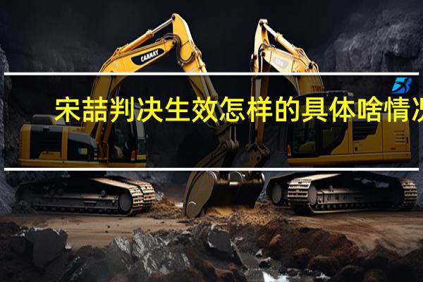 宋喆判决生效怎样的具体啥情况