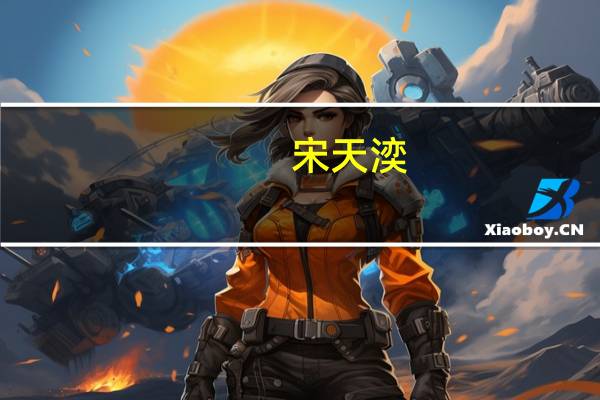 宋天湙(关于宋天湙简述)