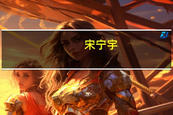 宋宁宇（关于宋宁宇的介绍）