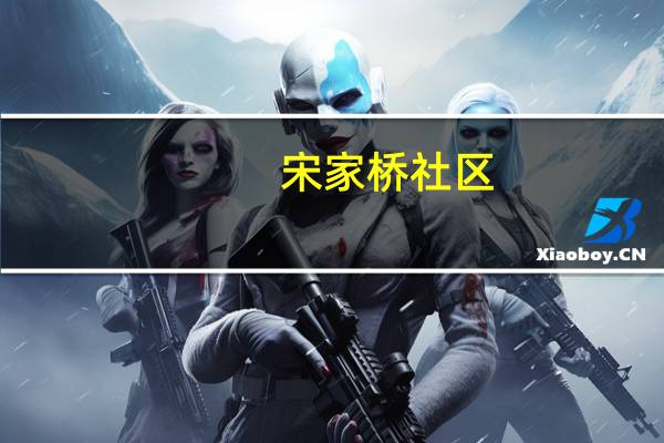 宋家桥社区(关于宋家桥社区简述)