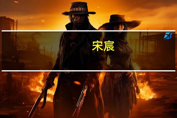 宋宸(关于宋宸简述)