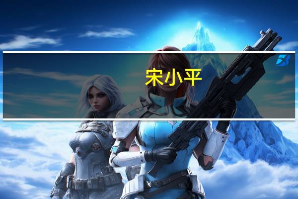 宋小平(关于宋小平简述)