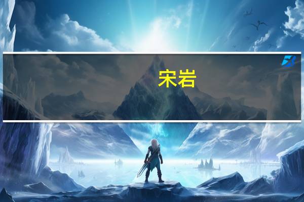 宋岩(关于宋岩简述)