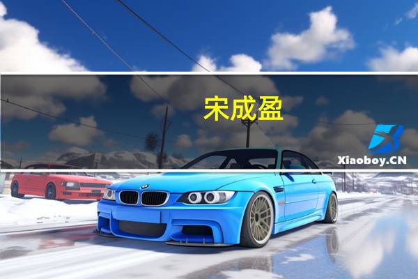 宋成盈(关于宋成盈简述)