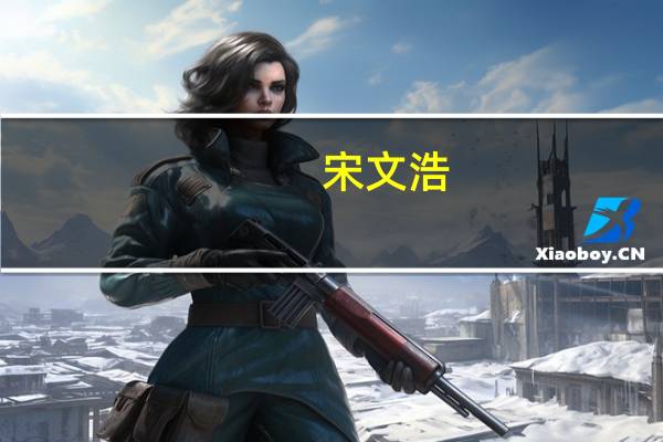 宋文浩(关于宋文浩简述)
