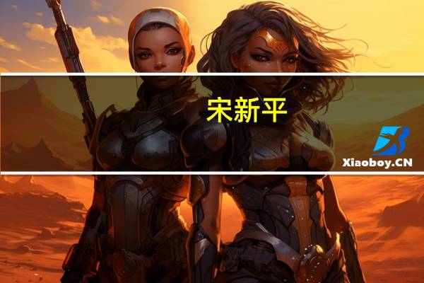 宋新平(关于宋新平简述)