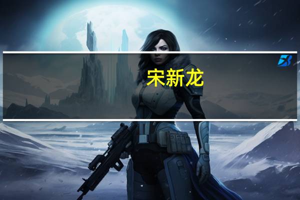 宋新龙(关于宋新龙简述)