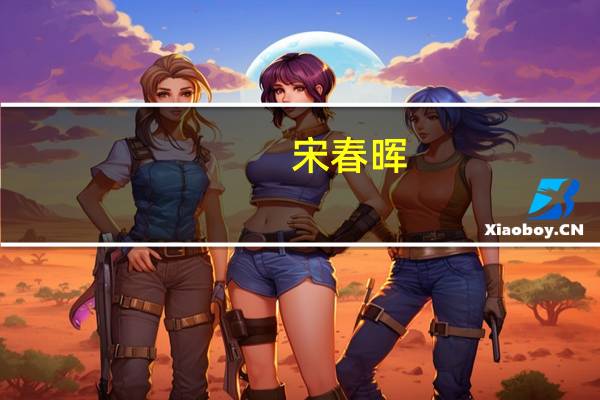 宋春晖(关于宋春晖简述)