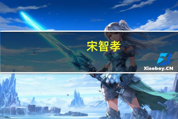 宋智孝（关于宋智孝的介绍）