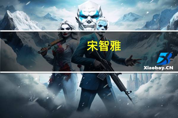 宋智雅（关于宋智雅的介绍）