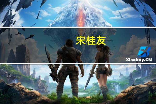 宋桂友(关于宋桂友简述)