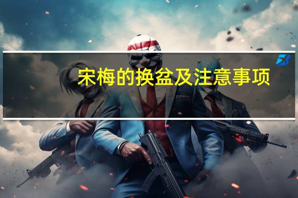 宋梅的换盆及注意事项