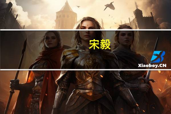 宋毅(关于宋毅简述)