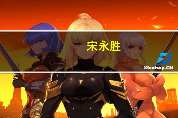 宋永胜(关于宋永胜简述)