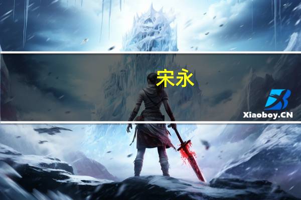宋永(关于宋永简述)